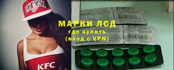 шишки Абаза