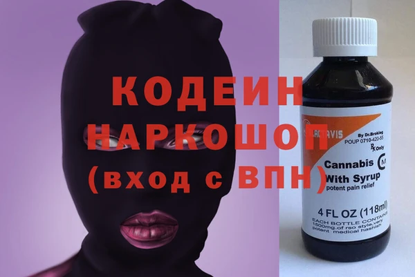 шишки Абаза