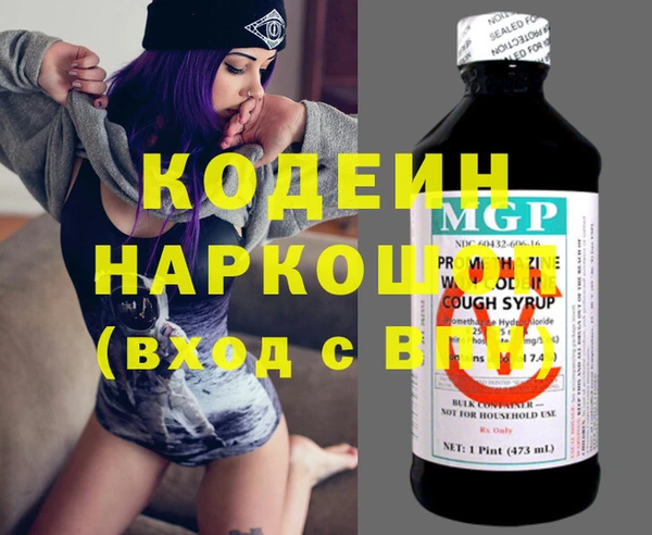 шишки Абаза