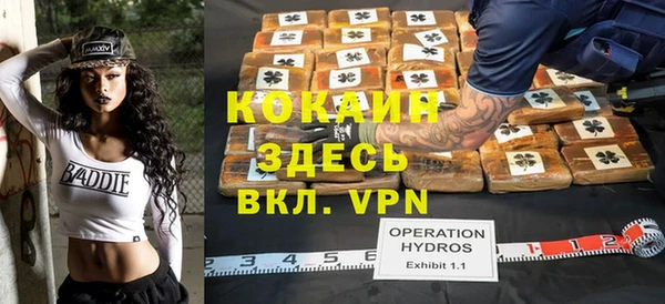 шишки Абаза
