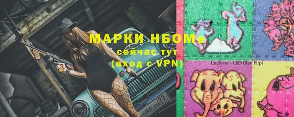 шишки Абаза